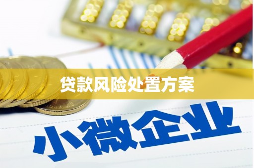 交口贷款风险处置方案