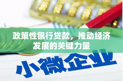 交口政策性银行贷款，推动经济发展的关键力量