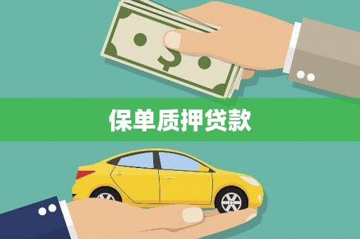 交口保单质押贷款