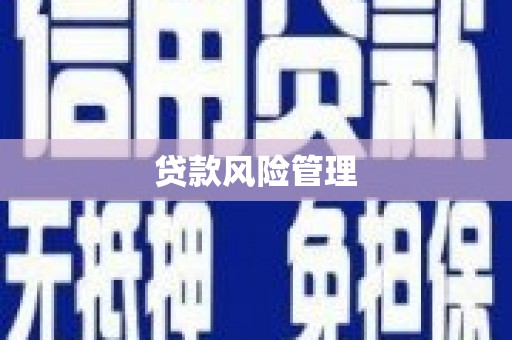 交口贷款风险管理