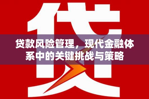 交口贷款风险管理，现代金融体系中的关键挑战与策略