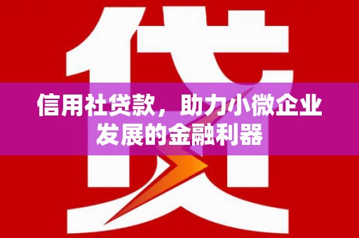 交口信用社贷款，助力小微企业发展的金融利器