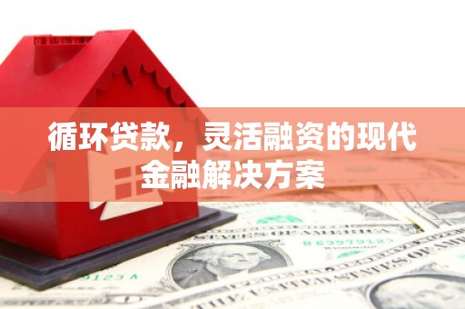 交口循环贷款，灵活融资的现代金融解决方案