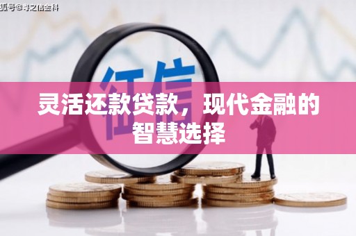 交口灵活还款贷款，现代金融的智慧选择