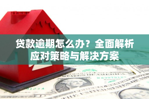 交口贷款逾期怎么办？全面解析应对策略与解决方案