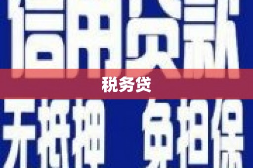 交口税务贷