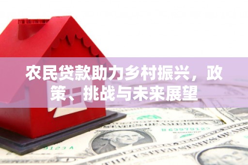交口农民贷款助力乡村振兴，政策、挑战与未来展望