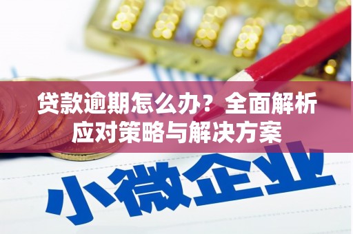 交口贷款逾期怎么办？全面解析应对策略与解决方案