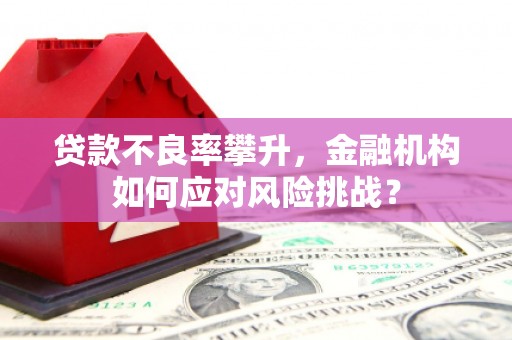 交口贷款不良率攀升，金融机构如何应对风险挑战？
