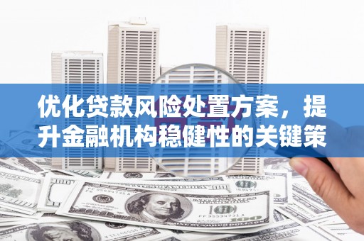 交口优化贷款风险处置方案，提升金融机构稳健性的关键策略