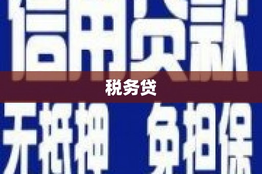 交口税务贷