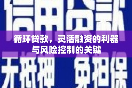 交口循环贷款，灵活融资的利器与风险控制的关键
