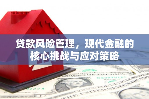 交口贷款风险管理，现代金融的核心挑战与应对策略