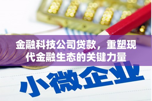 交口金融科技公司贷款，重塑现代金融生态的关键力量