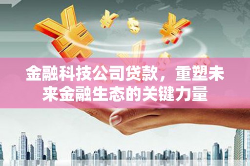 交口金融科技公司贷款，重塑未来金融生态的关键力量