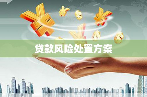 交口贷款风险处置方案