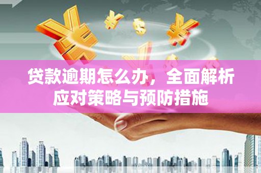 交口贷款逾期怎么办，全面解析应对策略与预防措施