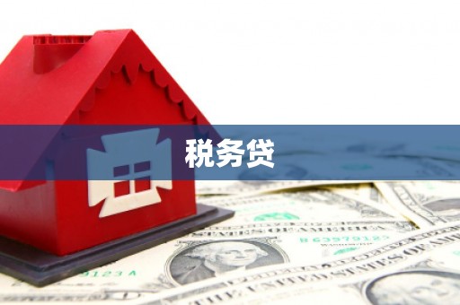 交口税务贷