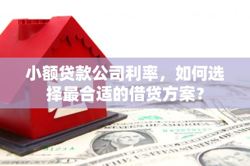 交口小额贷款公司利率，如何选择最合适的借贷方案？