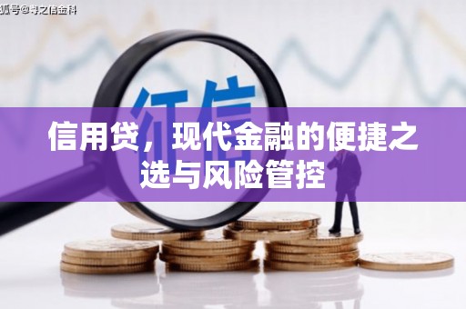 交口信用贷，现代金融的便捷之选与风险管控