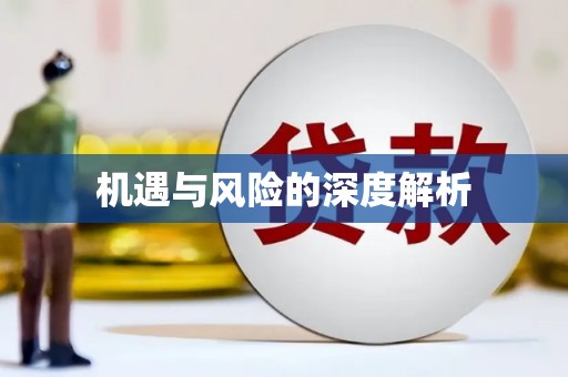 交口机遇与风险的深度解析