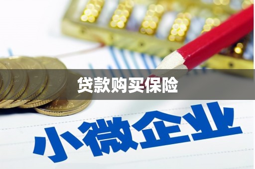 交口贷款购买保险