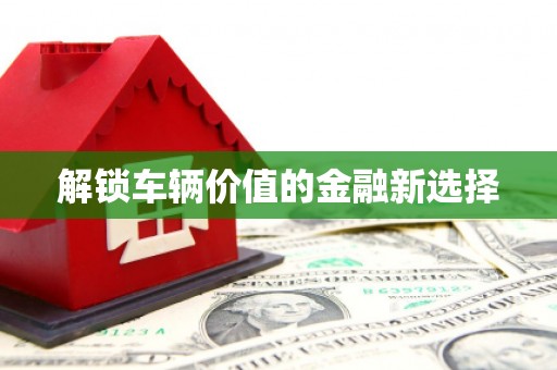 交口解锁车辆价值的金融新选择