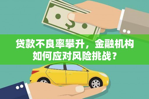 交口贷款不良率攀升，金融机构如何应对风险挑战？