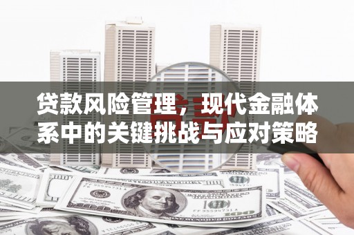 交口贷款风险管理，现代金融体系中的关键挑战与应对策略