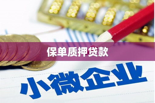 交口保单质押贷款
