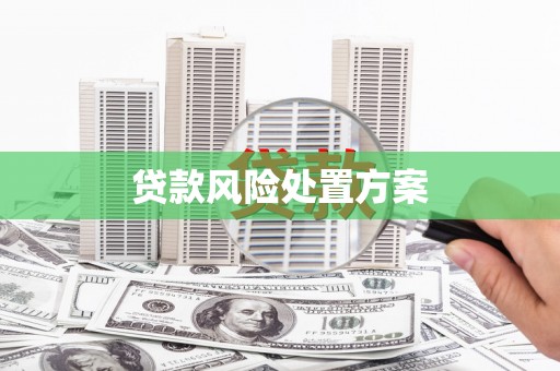 交口贷款风险处置方案