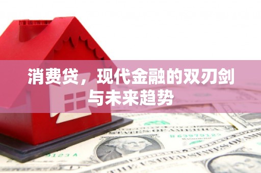 交口消费贷，现代金融的双刃剑与未来趋势
