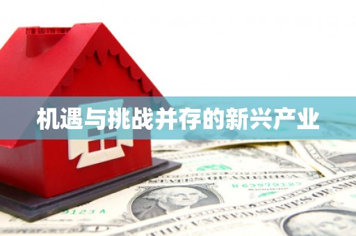 交口机遇与挑战并存的新兴产业