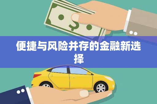 交口便捷与风险并存的金融新选择