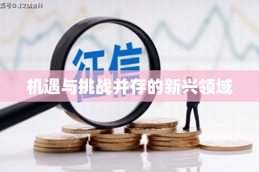 交口机遇与挑战并存的新兴领域