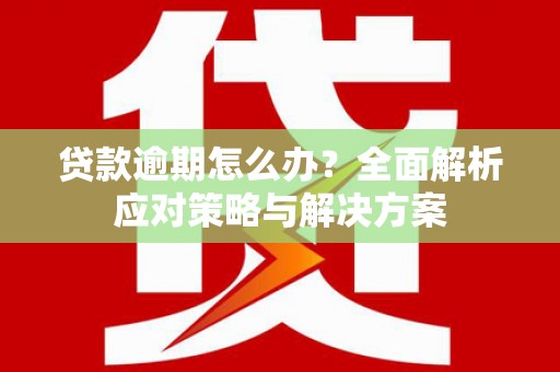 交口贷款逾期怎么办？全面解析应对策略与解决方案