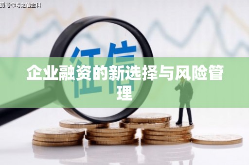 交口企业融资的新选择与风险管理