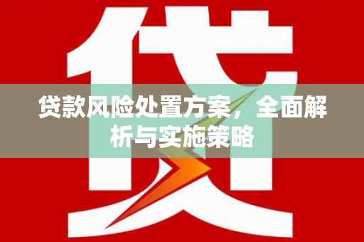 交口贷款风险处置方案，全面解析与实施策略