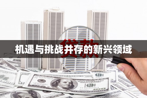 交口机遇与挑战并存的新兴领域
