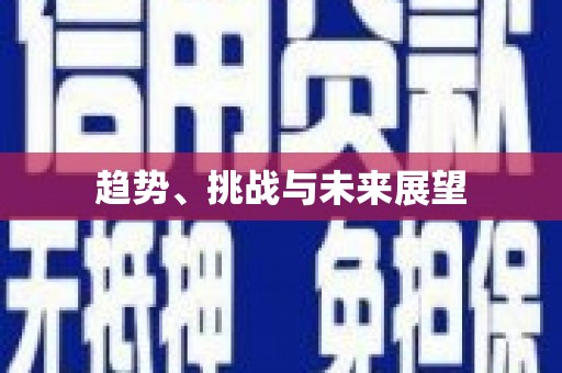 交口趋势、挑战与未来展望